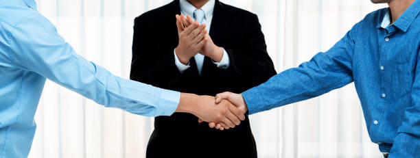 How To Become A Successful Mediator For Domestic Cases?