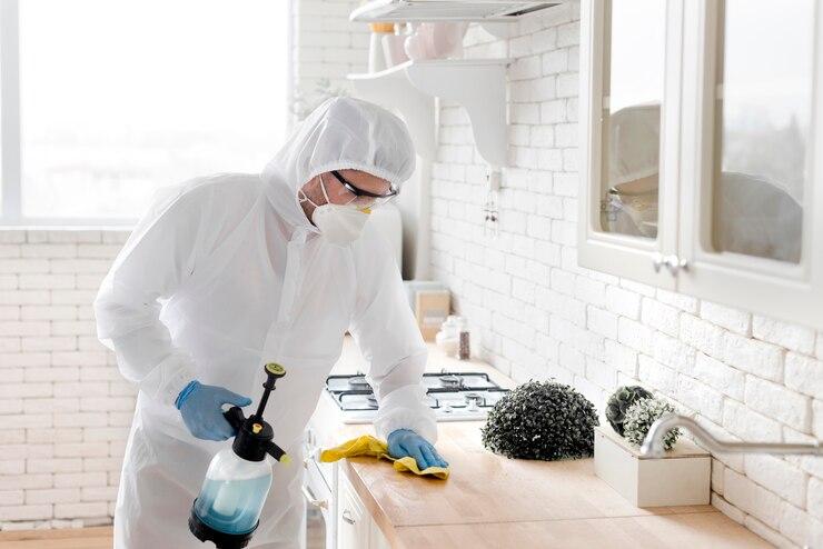 Top Tips for Addressing Common Household Pests